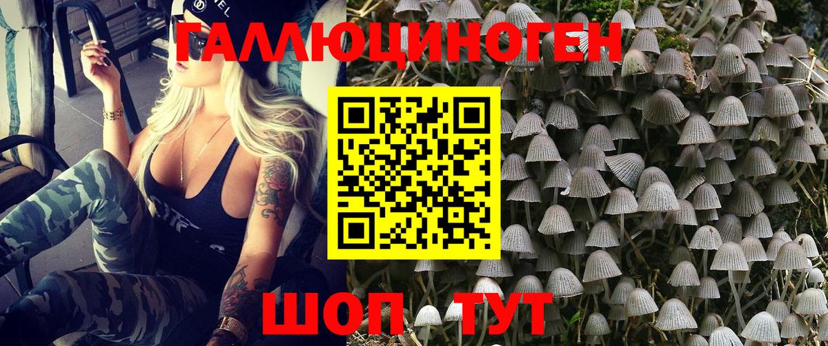 где продают   Псилоцибиновые грибы GOLDEN TEACHER  Галлюциногенные грибы Psilocybine cubensis  Вход с VPN  Новый Уренгой 